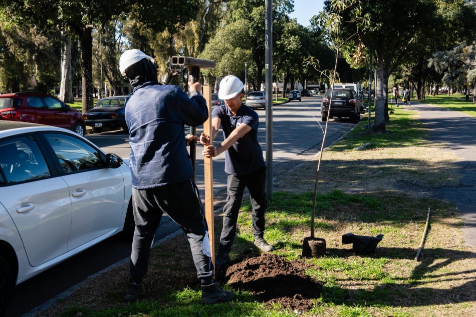606372 | Plantación en parque en la Independencia - Secretaría de Ambiente y Espacio Público (Juan Pablo Allegue)