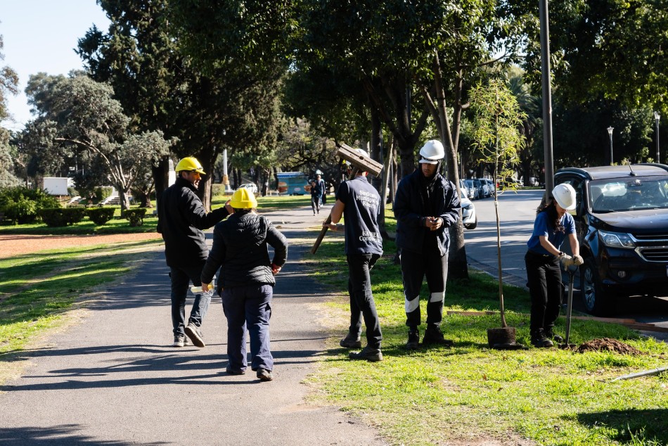 606373 | Plantación en parque en la Independencia - Secretaría de Ambiente y Espacio Público (Juan Pablo Allegue)