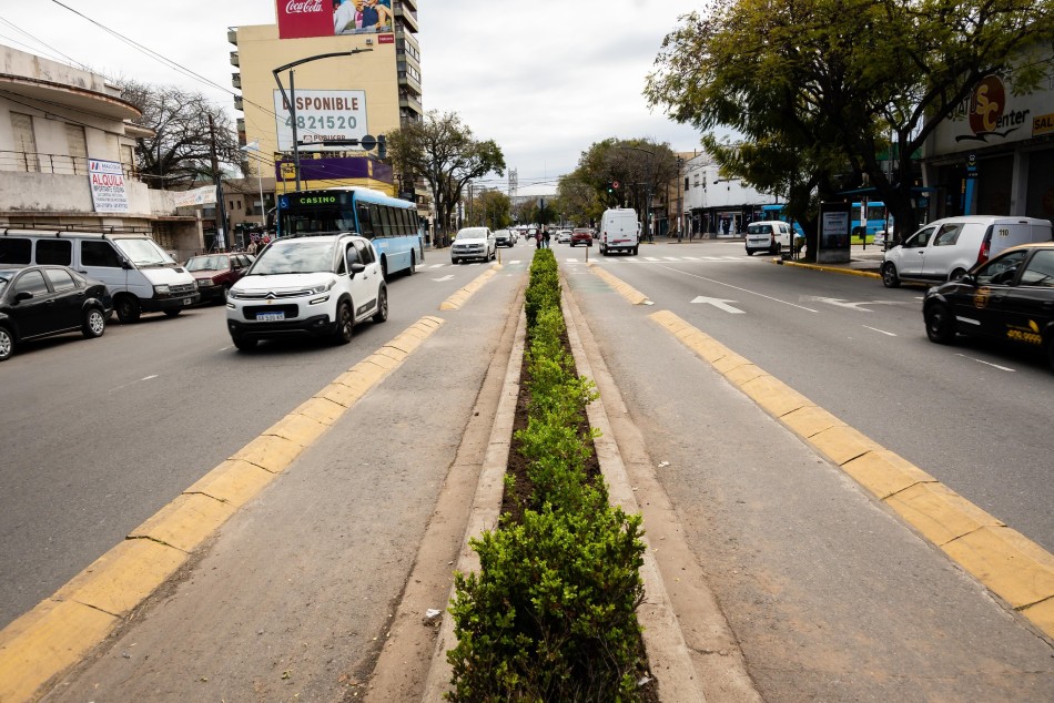 606375 | Plantación en avenida San Martín - Secretaría de Ambiente y Espacio Público (Juan Pablo Allegue)