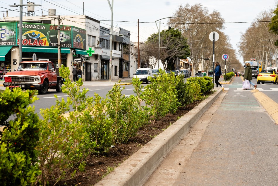 606380 | Plantación en avenida San Martín - Secretaría de Ambiente y Espacio Público (Juan Pablo Allegue)