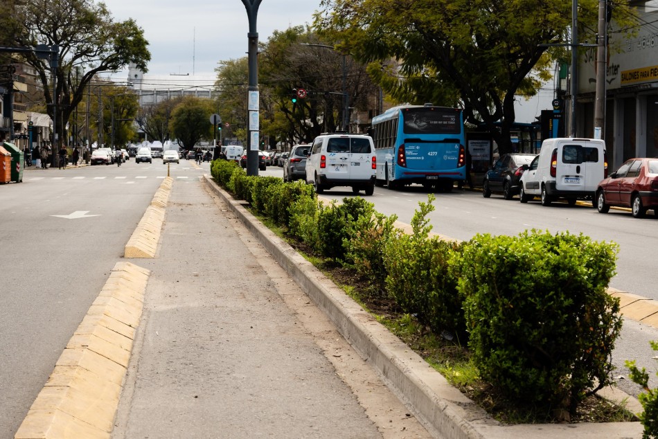 606379 | Plantación en avenida San Martín - Secretaría de Ambiente y Espacio Público (Juan Pablo Allegue)