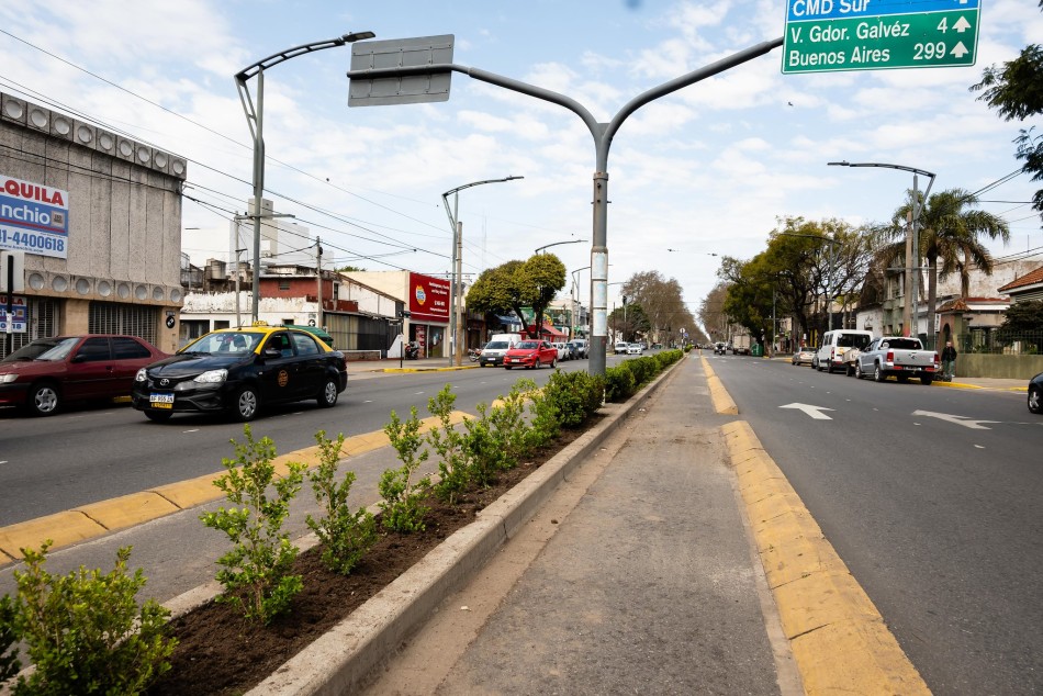 606377 | Plantación en avenida San Martín - Secretaría de Ambiente y Espacio Público (Juan Pablo Allegue)