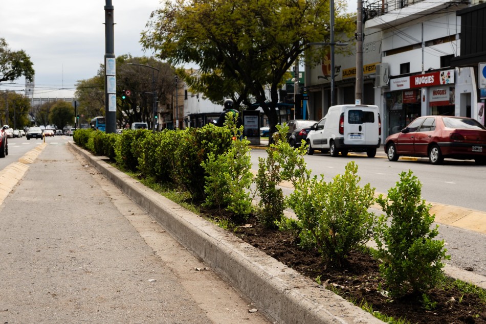 606378 | Plantación en avenida San Martín - Secretaría de Ambiente y Espacio Público (Juan Pablo Allegue)