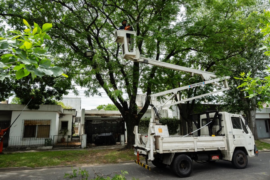 624413 |  - Municipalidad de Rosario